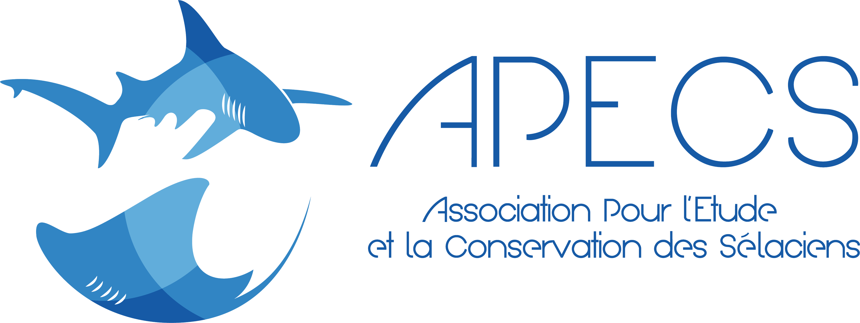 Association pour l'Etude et la Conservation des Selaciens (APECS)