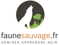 Faune Sauvage