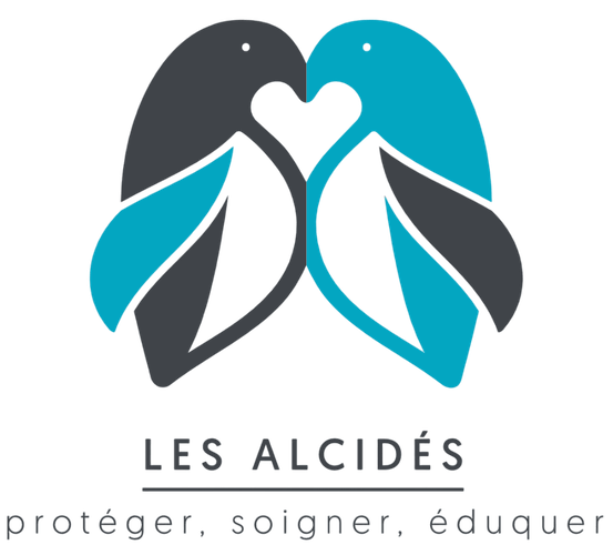 Les Alcidés