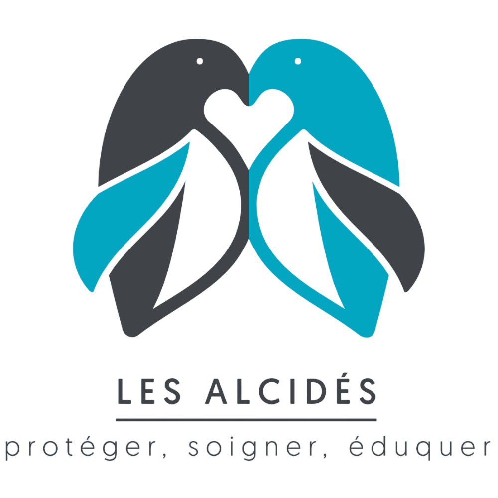 Les Alcidés