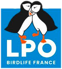 LPO