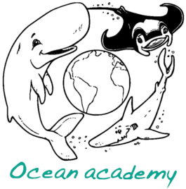 Ocean Academy