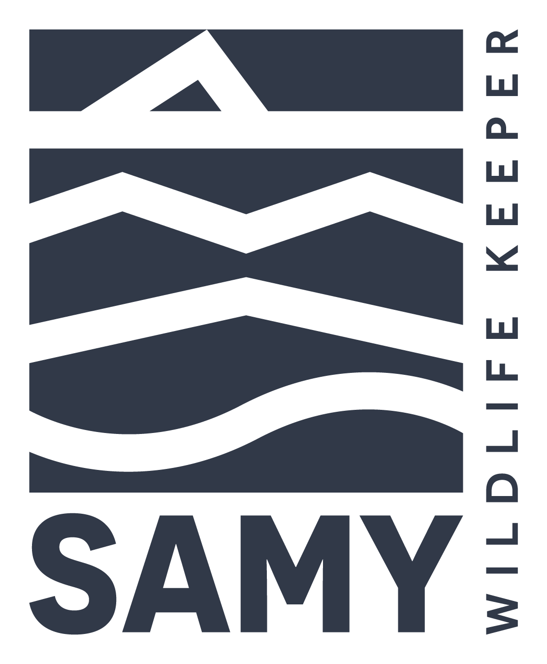 Association SAMY